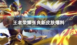 王者新皮肤对抗爆料最新,对抗爆料中的神秘英雄与独特设计