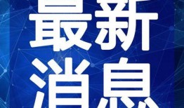 火鸡投手爆料视频大全最新,揭秘幕后真相与精彩瞬间